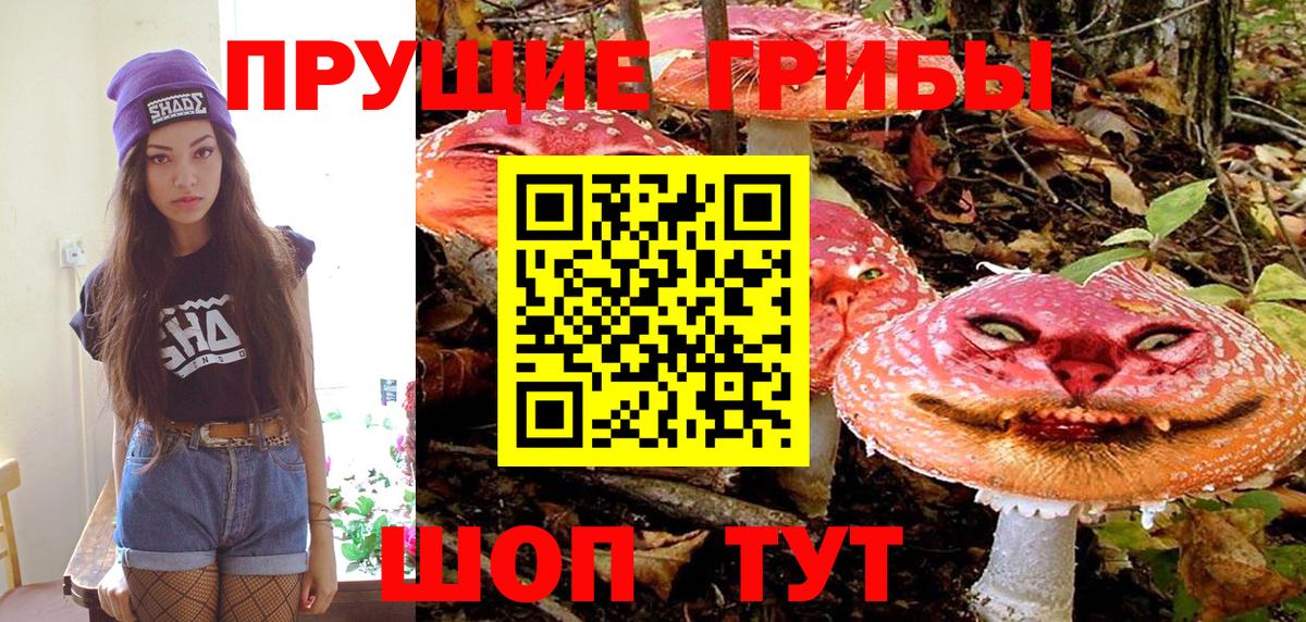Энгельс  Псилоцибиновые грибы Magic Shrooms  Вход с VPN 